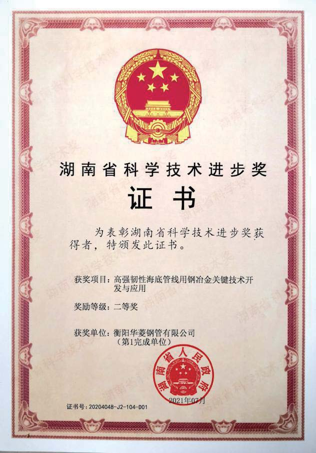 湖南省科学技术进步奖证书