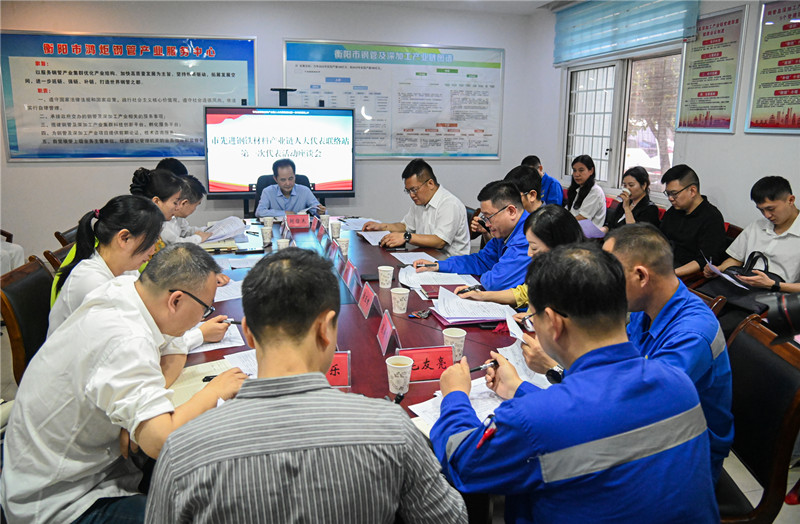 促进市先进钢铁材料产业链发展 四级人大代表来衡钢调研