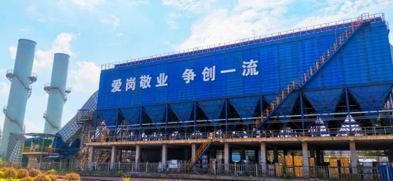 媒体深度报道衡钢：城中大厂的全“绿”以赴