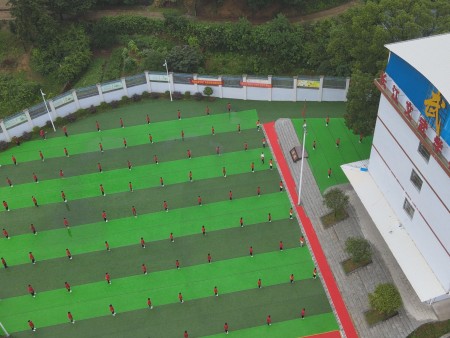 正规办学品质保障
我校由专业设计团队规划设计,现代化的校园气息,小学、初中、两个教学区域相对独立,自成一体教学楼、图书馆及多媒体室、微机操作室、艺教中心、400米塑胶跑道、绿茵篮球场、乒乓球场、等设施一应俱全