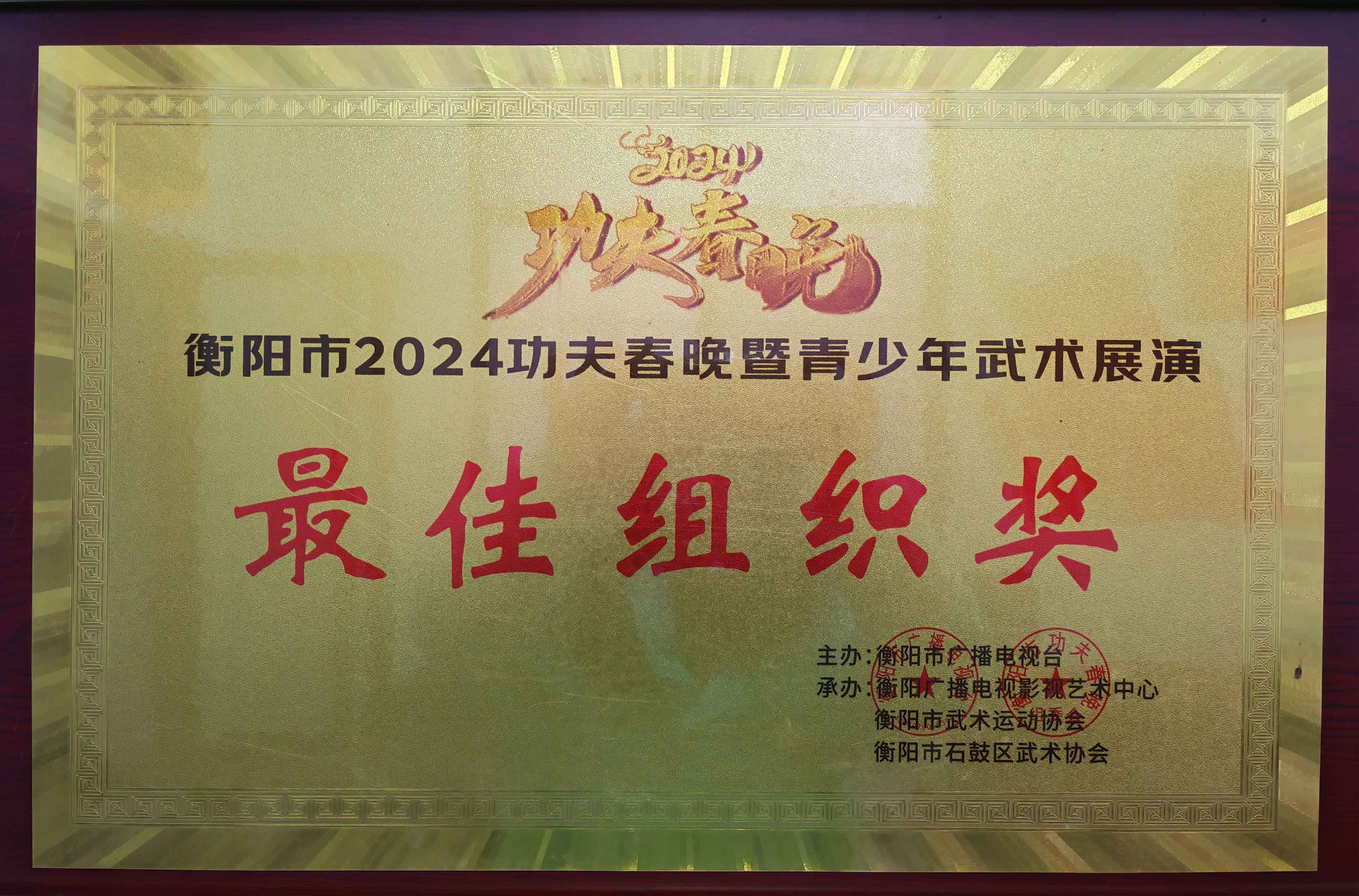 衡阳市2024功夫春晚暨青少年武术展演 最佳组织奖