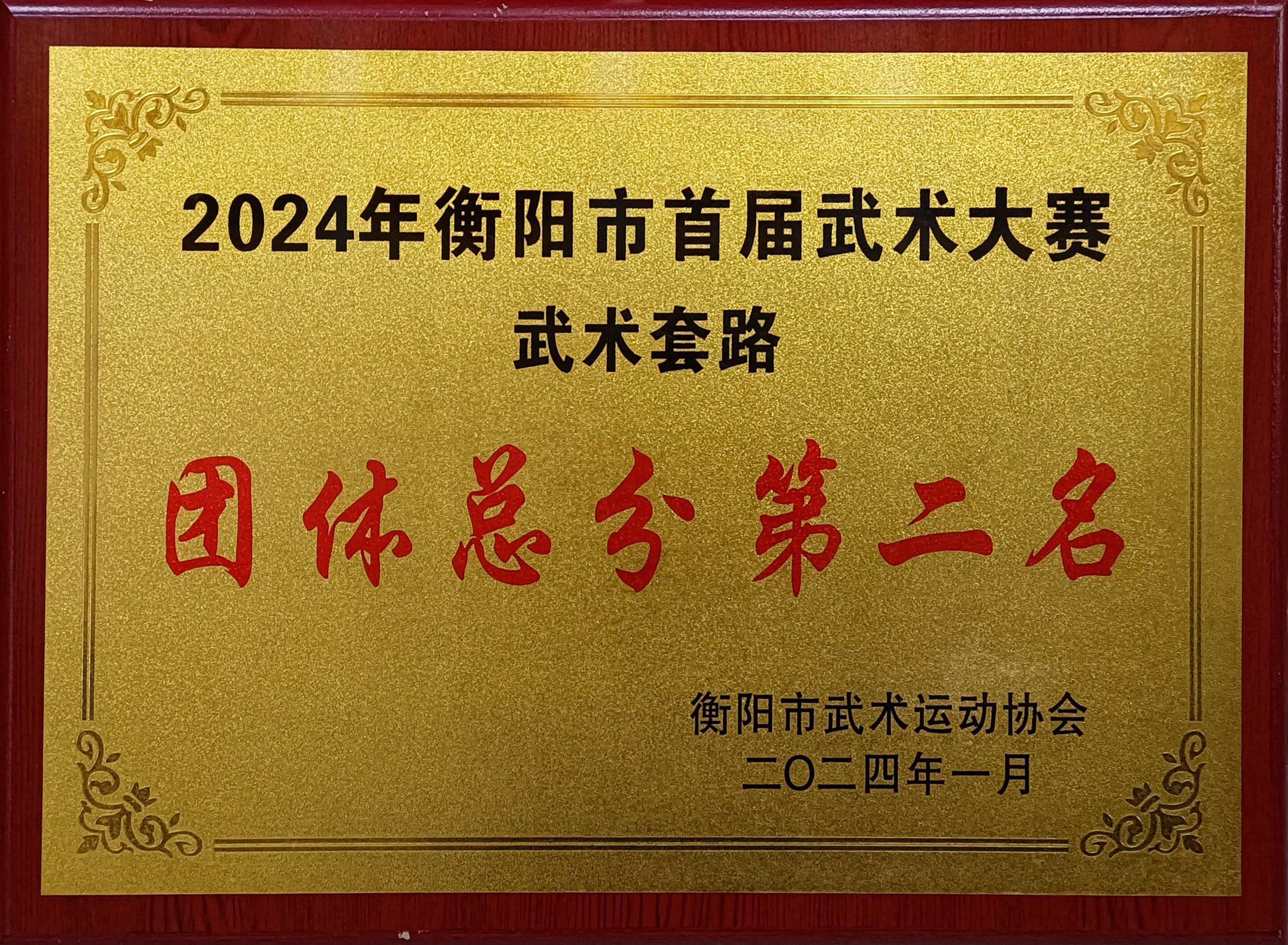 2024年衡阳市首届武术大赛武术套路 团体总分第二名