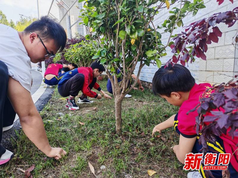 五一劳动节除草活动