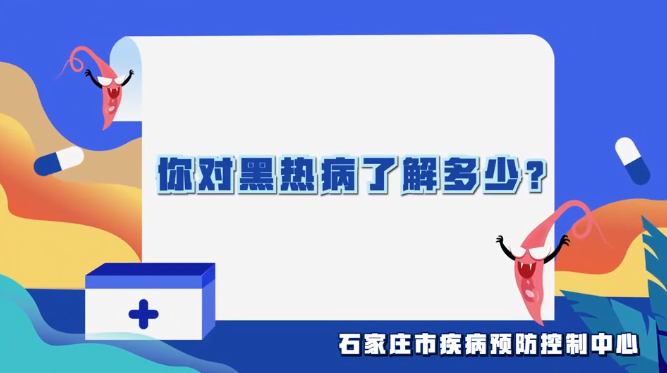 黑热病防治科普：早防早治，远离 “隐形” 寄生虫病