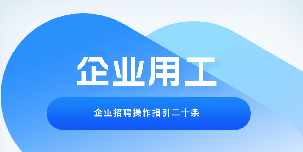企业用工法律实务指南：劳动风险防范二十条关键指引