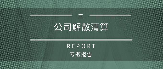 公司解散清算系列报告（三）公司自行解散清算案例分析及清算中应当重点关注的法律问题