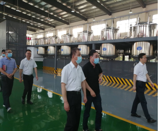 湖南省正厅级领导杨春林调研公司