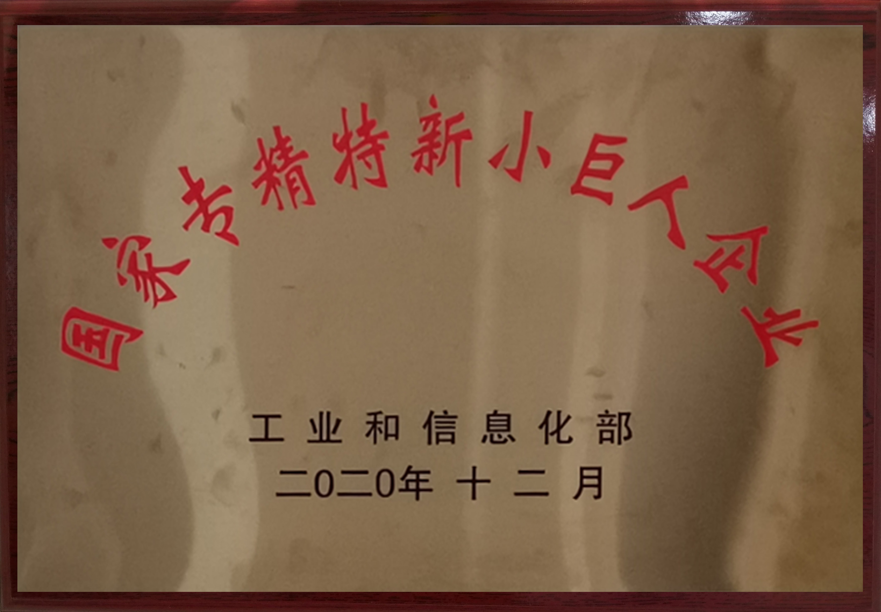 国家专精特新小巨人企业