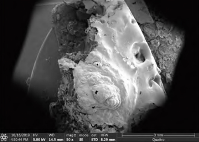 Research on halogen-free flame retardant POE/PP composite materials