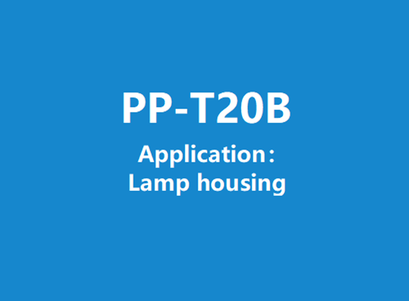 PP-T20B Brief Description