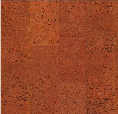 带大家了解什么是软木地板?