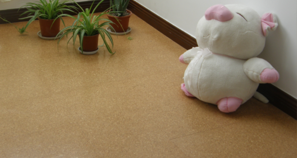 软木地板的优势是什么，中林带你了解一下！