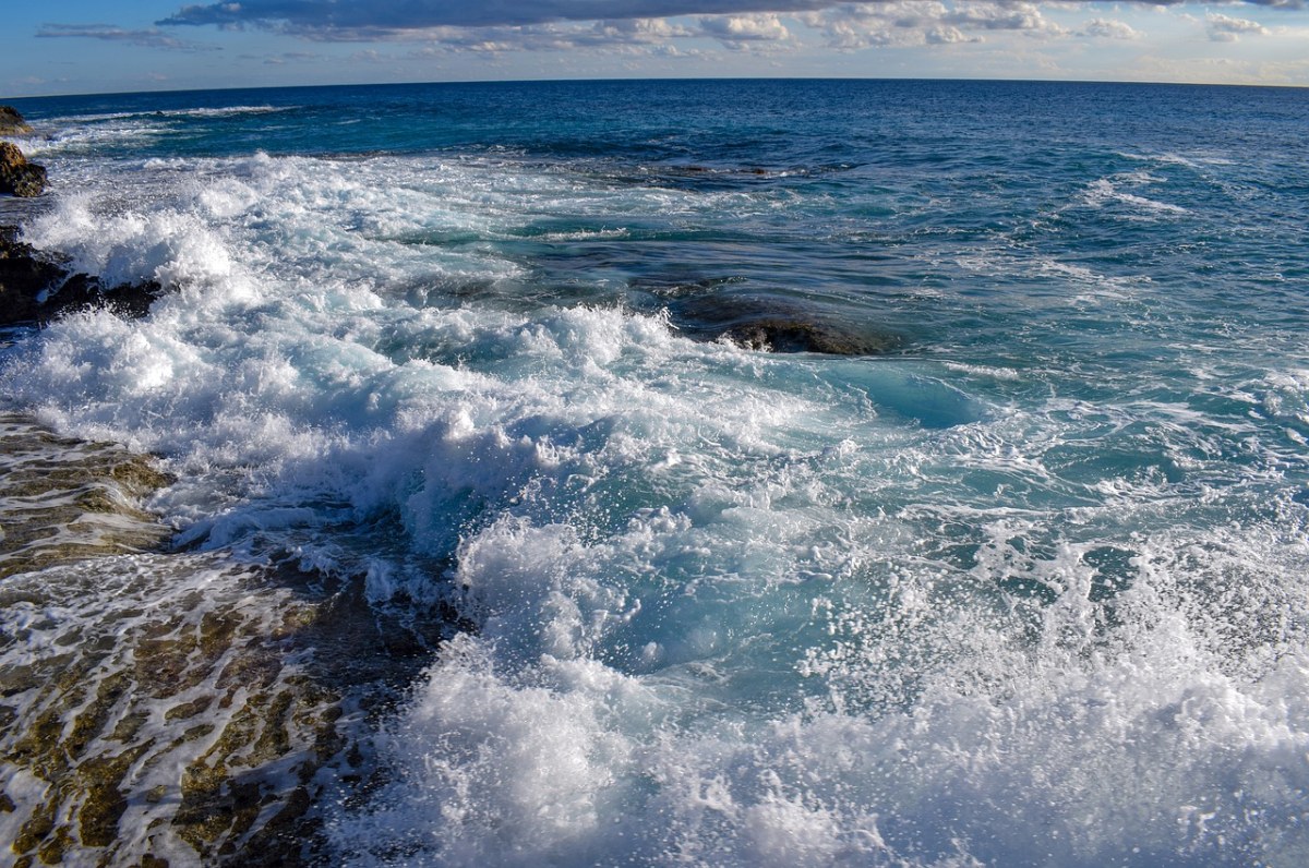 以自然之名：可降解海葬的绿色告别仪式