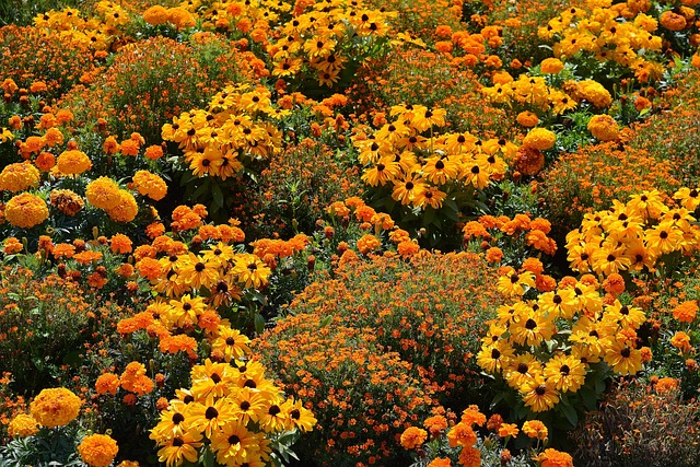 花葬：用繁花续写生命的终章