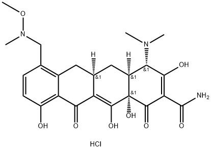 盐酸沙瑞环素