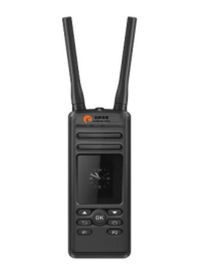 LTE自组网Mesh-RS5202