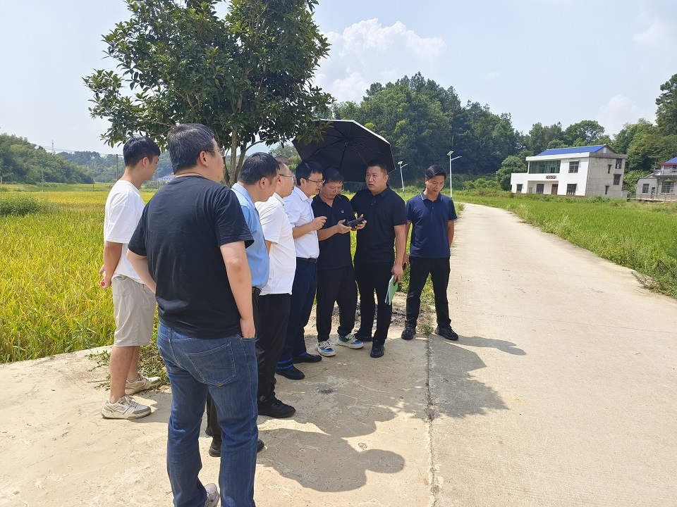 我公司陪同国网湖南省公司领导检查线路工程水土保持工作