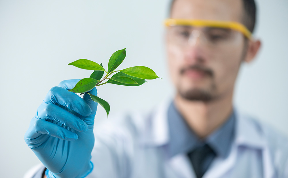 浇注式及其制备方法