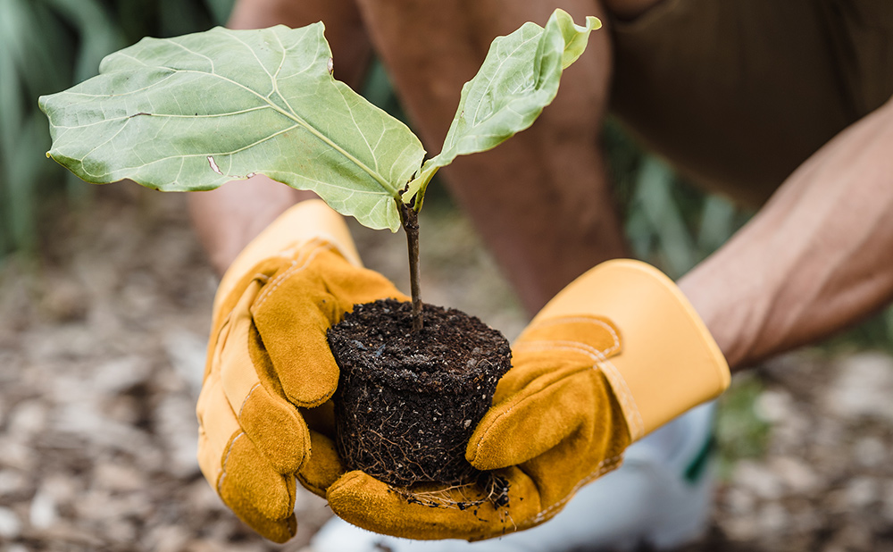 田间工程节水技术