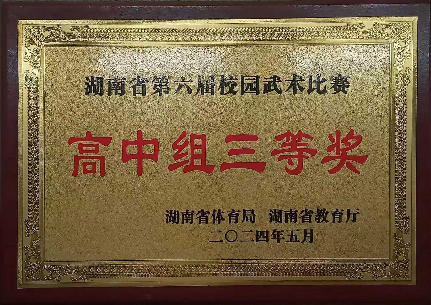 湖南省第六届校园武术比赛高中组三等奖