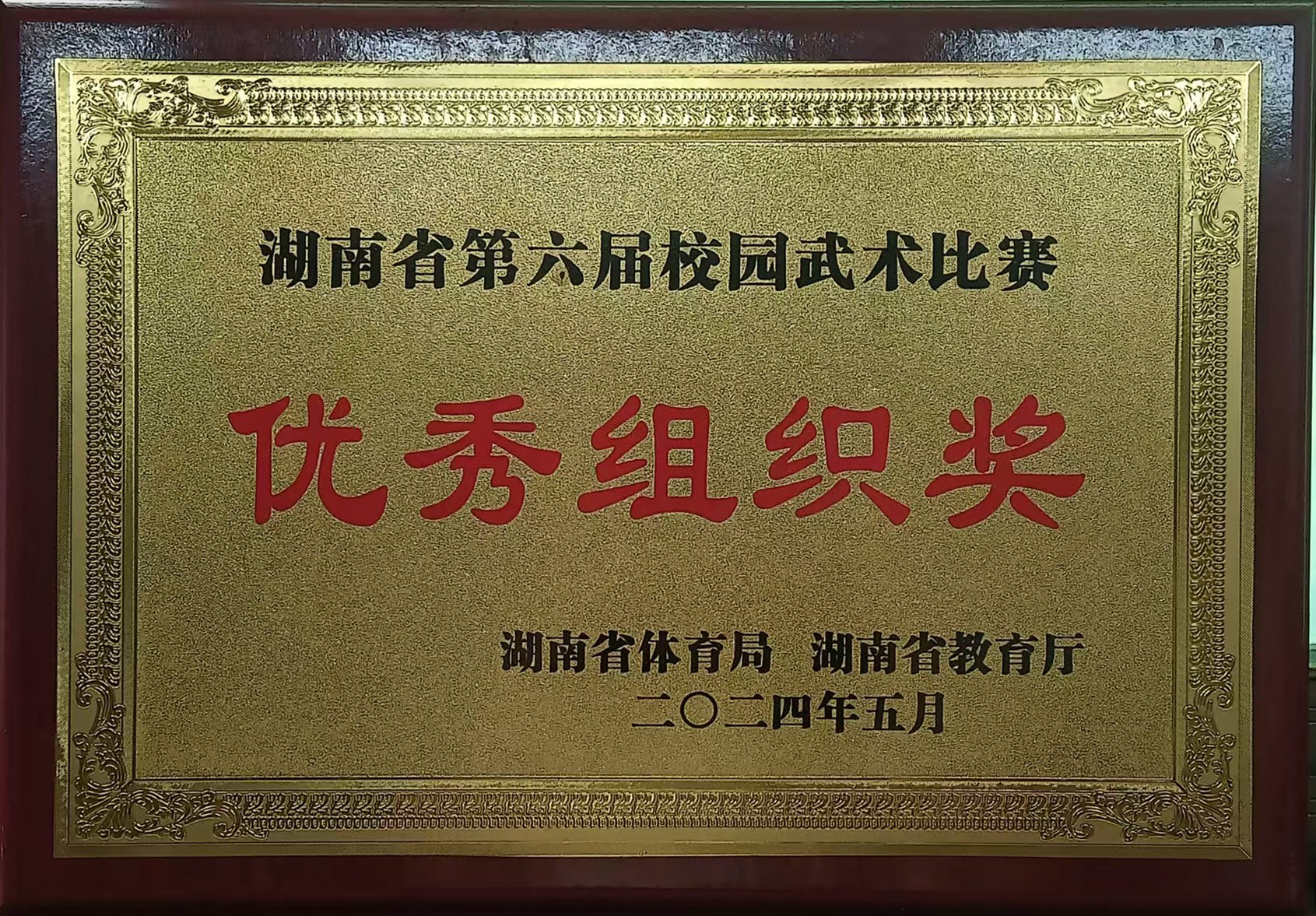 优秀组织奖