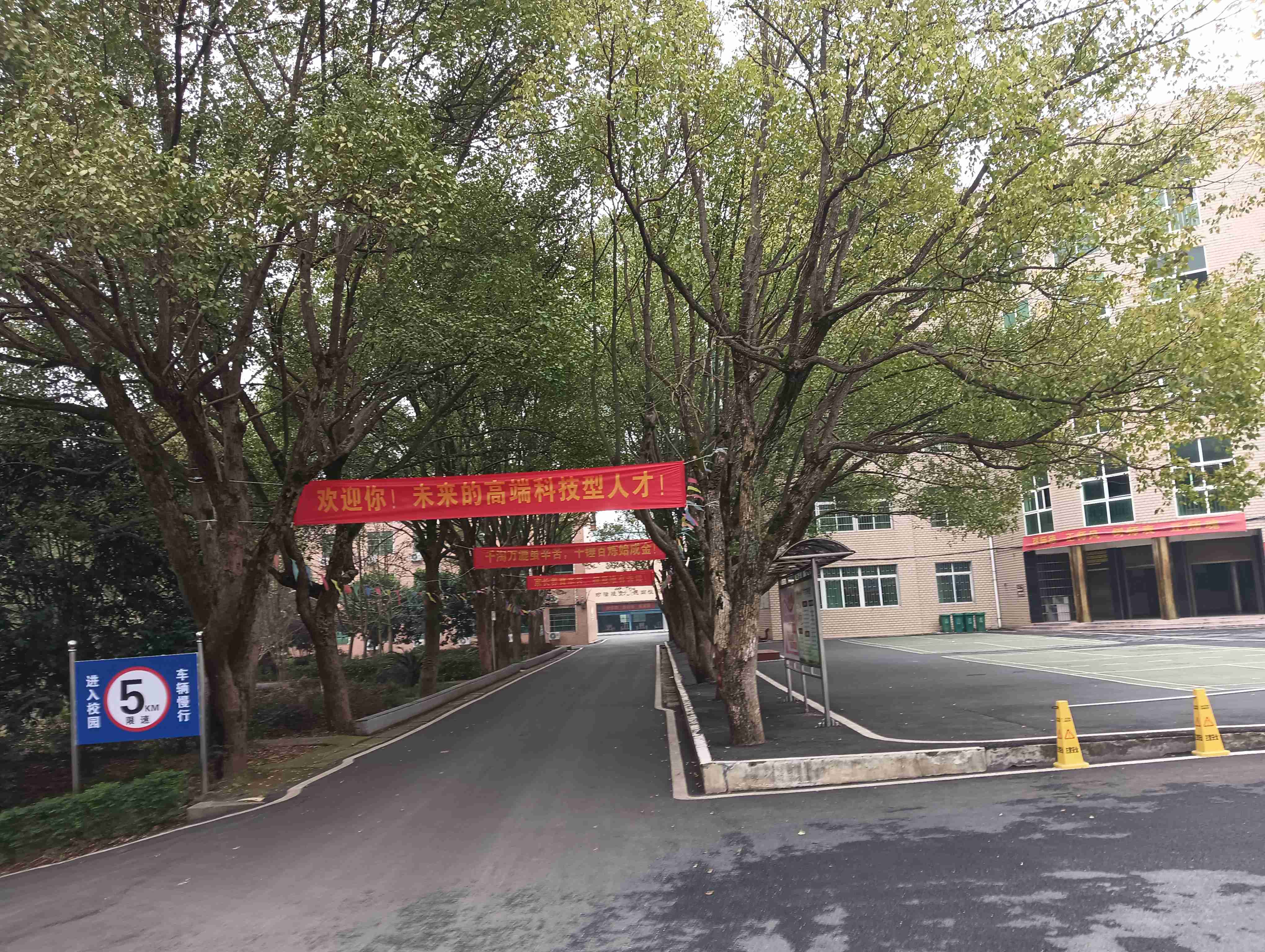 校园环境