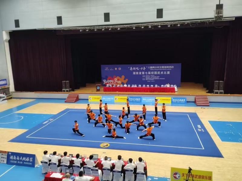 衡阳市科技工程学校“奔跑吧·少年”湖南省第七届校园武术比赛斩获佳绩