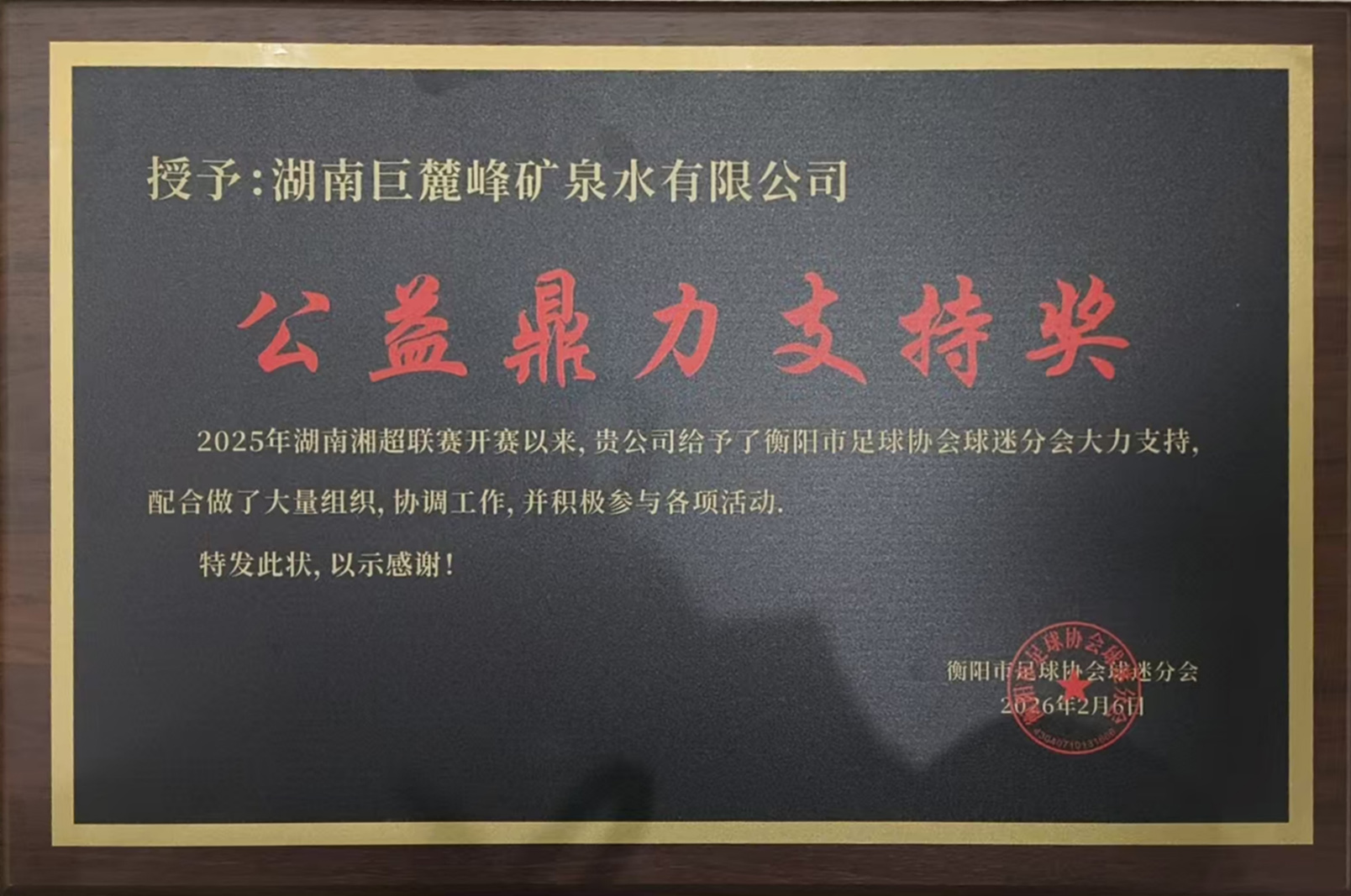 公益鼎力支持奖
