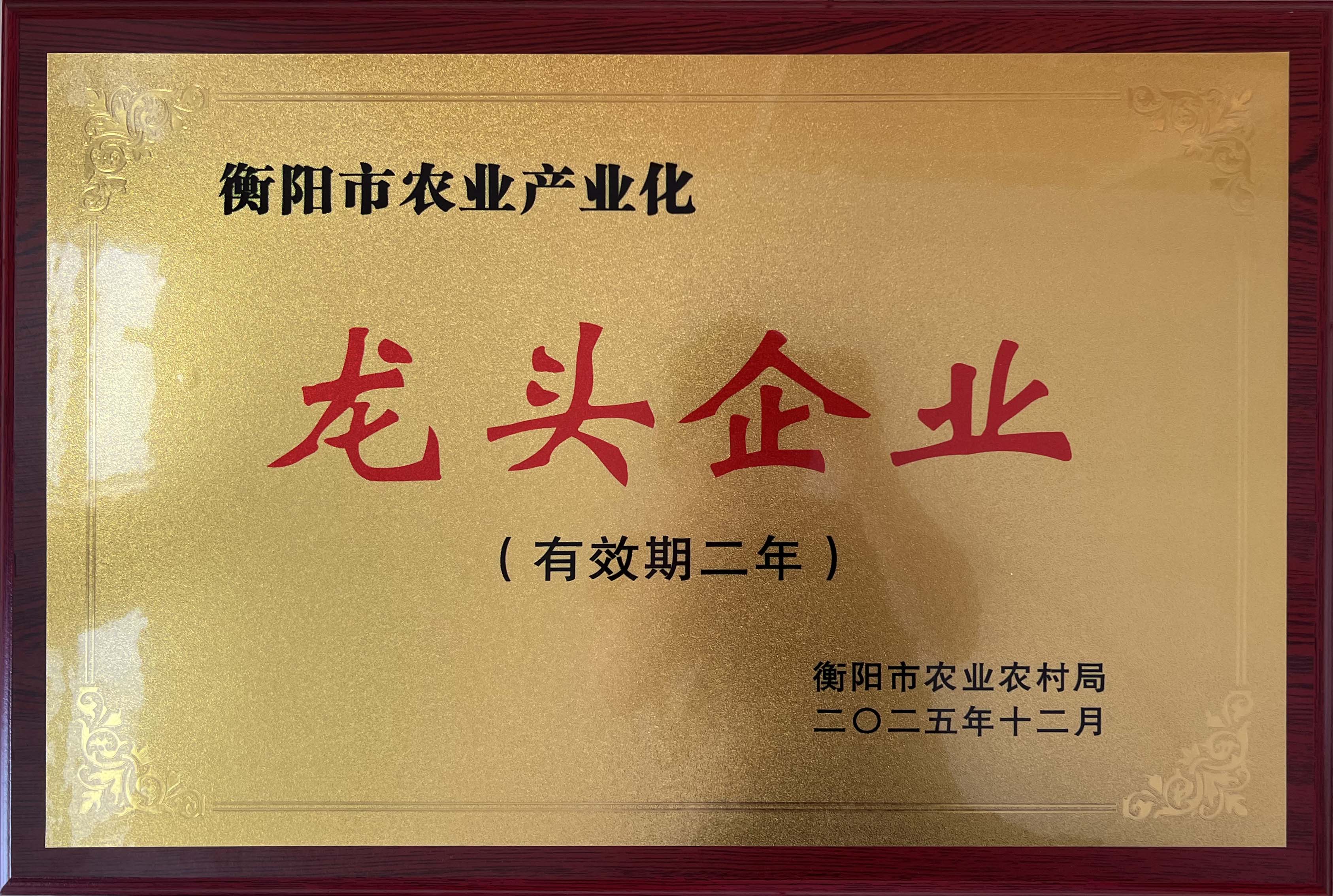 龙头企业