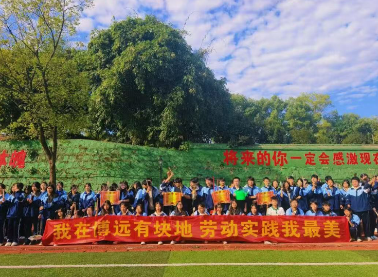 劳动实践教育