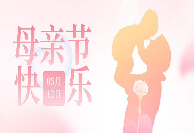 致最爱的母亲