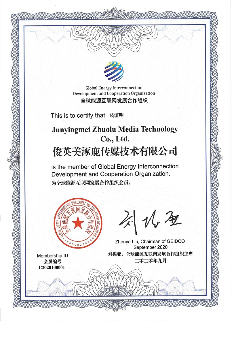 全球能源互联网发展合作组织