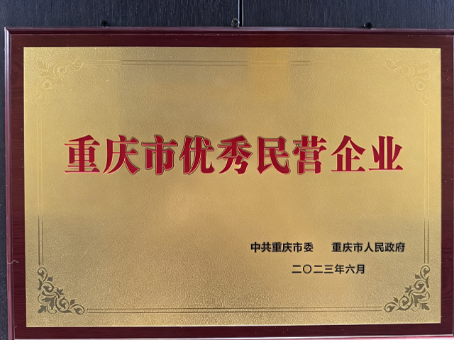 重庆优秀民营企业