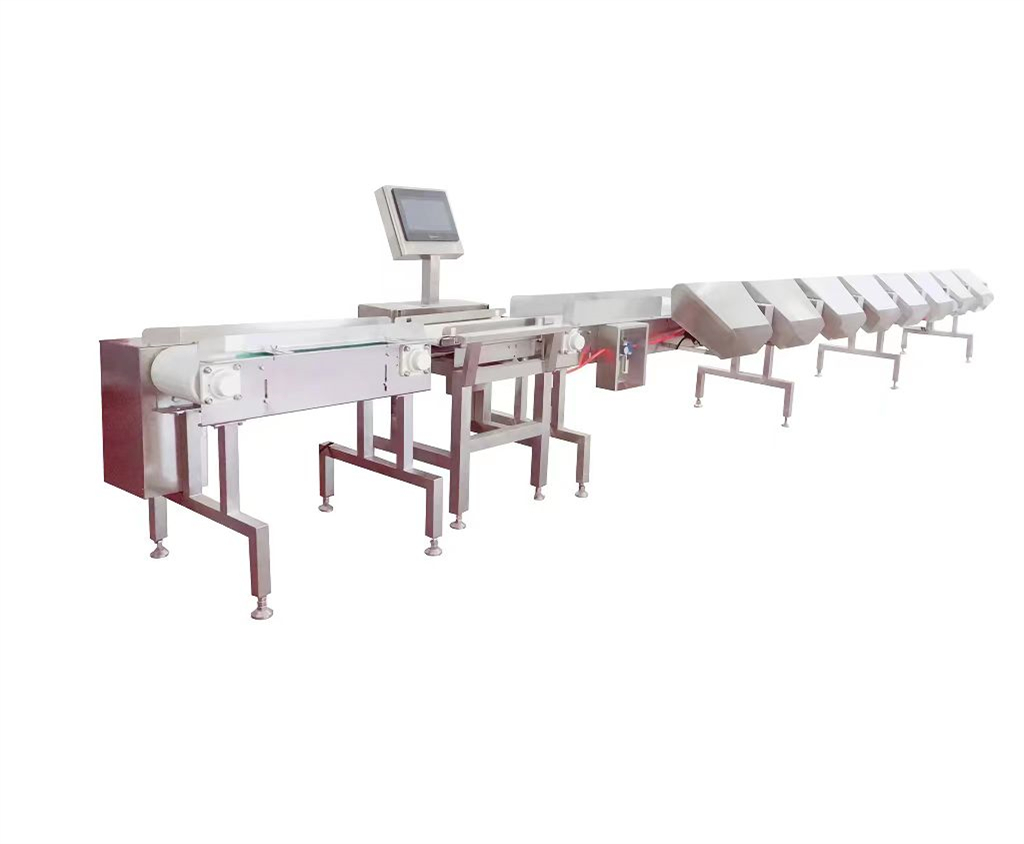 YX-1736 Chain type multistage weight classifier