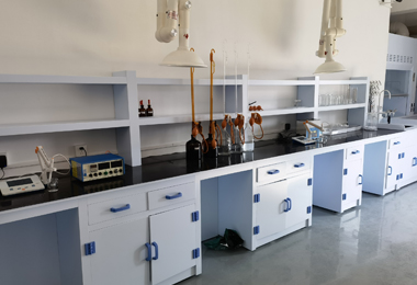 Analyzing Lab