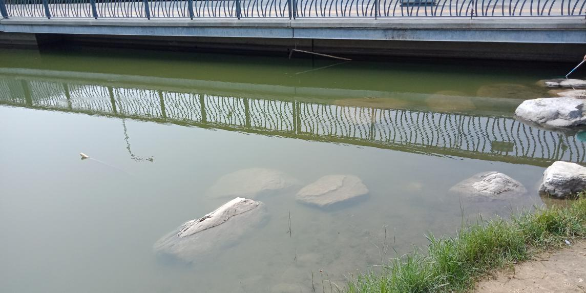 北京奥体公园湖水一角蓝藻治理