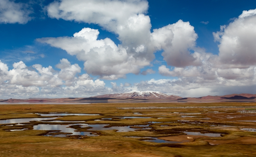 共和縣2021年三江源生態(tài)保護(hù)和恢復(fù)項(xiàng)目