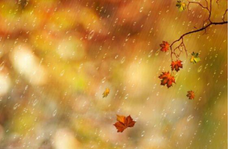 Late autumn