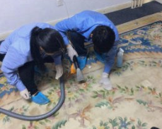 地毯、油烟机清洗