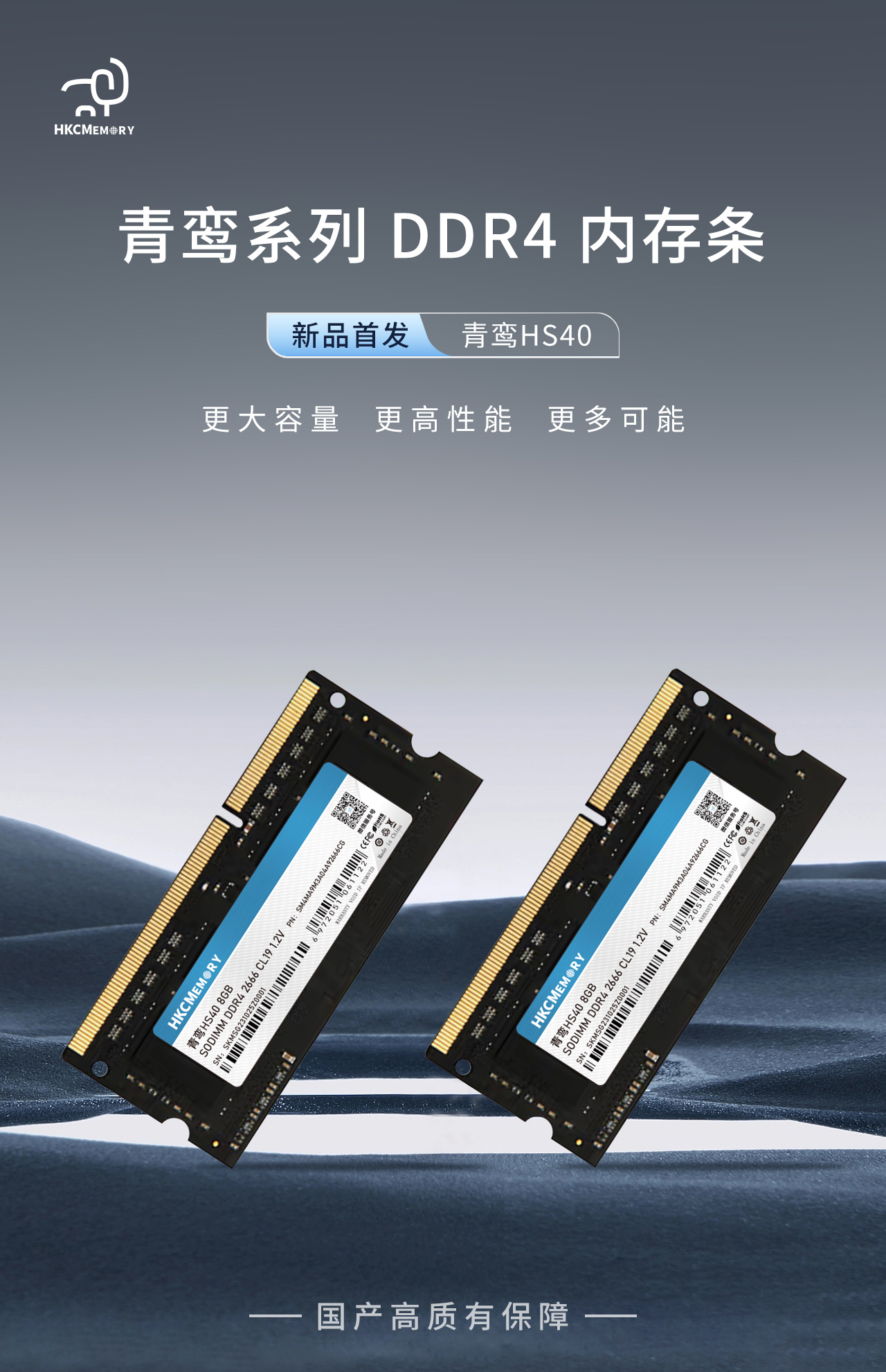 青鸾HS40 - 深圳惠科存储科技有限公司