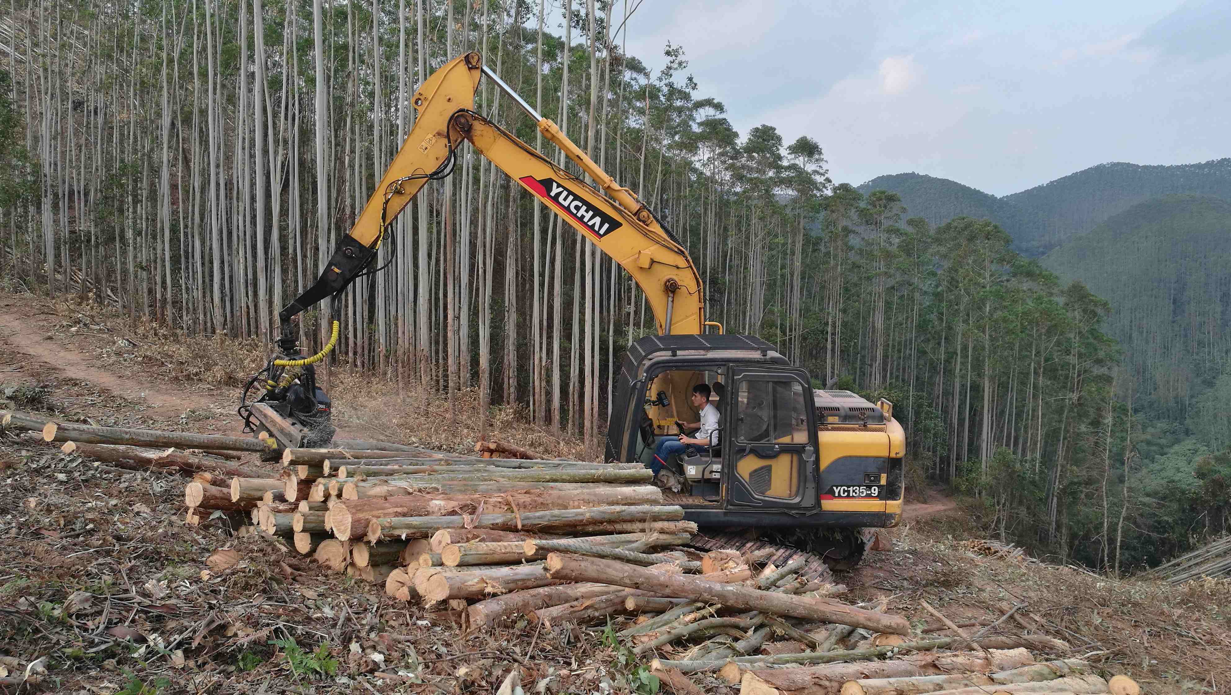 林业运输伐木起重机 - SMART - Komatsu Forest AB