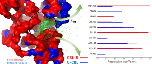 ACS Medicinal Chemistry Letters | Deciphering the Selectivity of CBL-B Inhibitors Using All-Atom Molecular Dynamics and Machine Learning