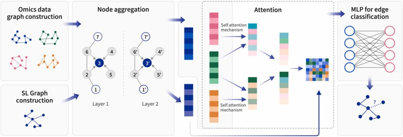 Computational and Structural Biotechnology Journal | Using graph-based model to identify cell specific synthetic lethal effects