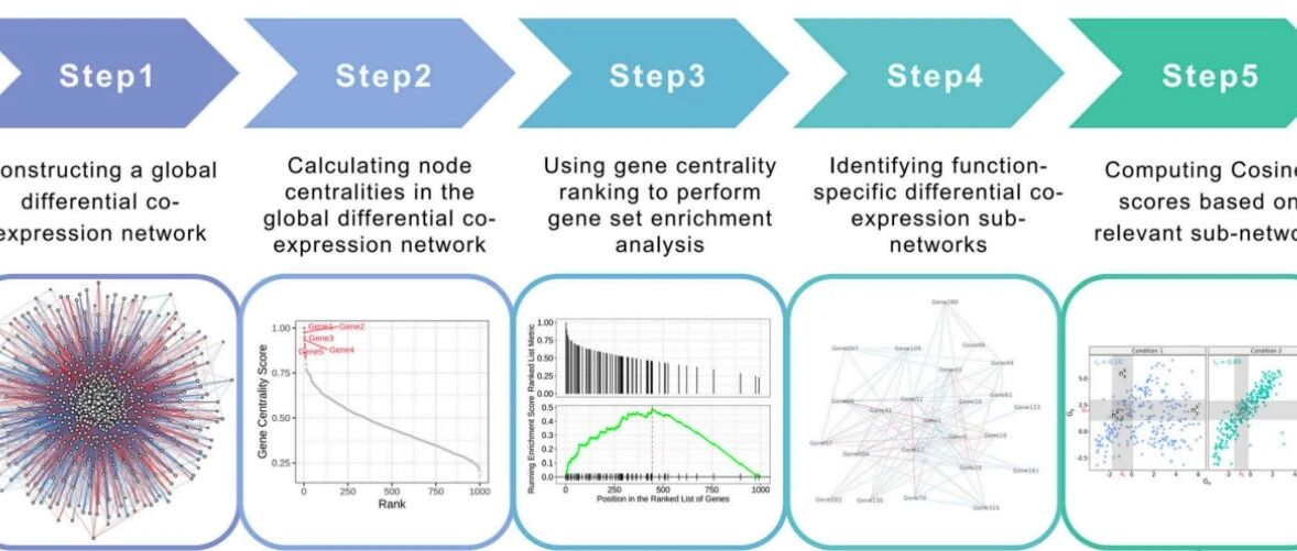 Cosinet——一种全新的单样本基因差异共表达（DCE）网络分析的方法