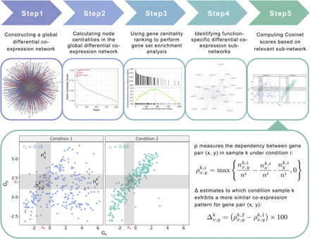 Life Science Alliance | Patient-specific analysis of co-expression to measure biological network rewiring in individuals