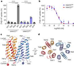 Nature | Transport and inhibition mechanisms of human VMAT2