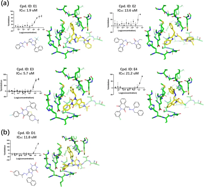 Communications Chemistry | Using macromolecular electron densities to improve the enrichment of active compounds in virtual screening