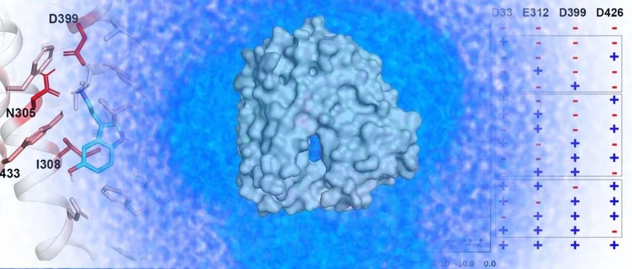 Nature | 望石技术应用案例：VMAT2的转运及药物抑制的分子机制