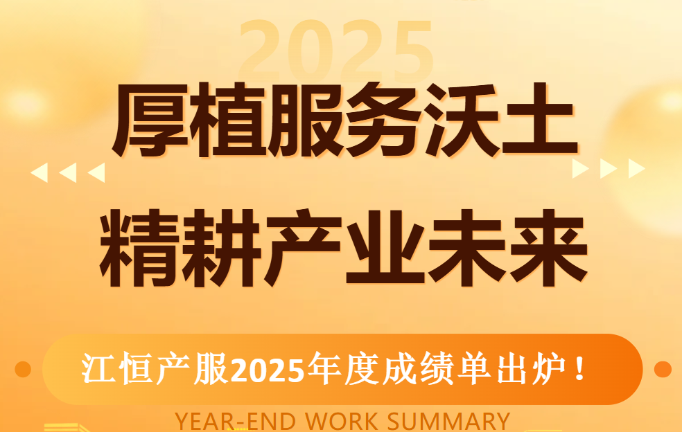 厚植服务沃土 精耕产业未来——江恒产服 · 答卷2025