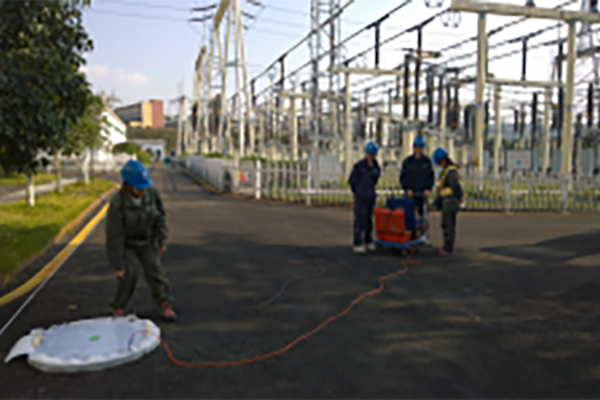 Corrosion detection of grounding network of Sichuan Zigong, Chongqing Caijia Yuhuangguan and Shapingba Liangting substations in State Grid